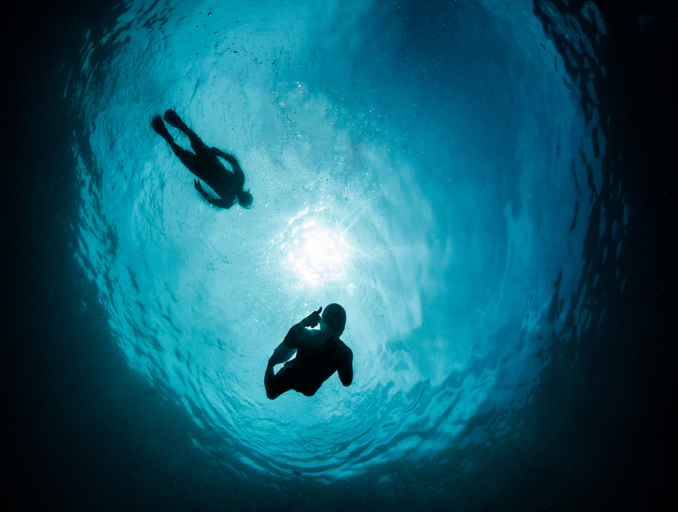 PADI Freedive